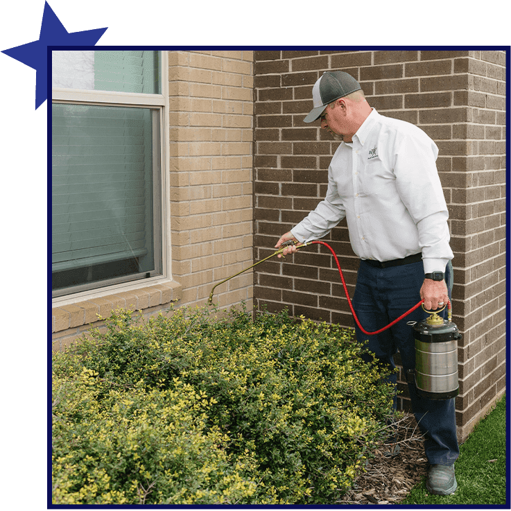 McKinney, TX Pest Control Big D Pest & Termite