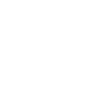 Big D Pest & Termite